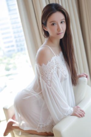 我的翻译官全集免费观看高清