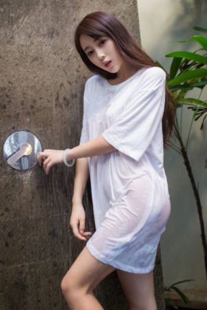 伍六七全集免费观看