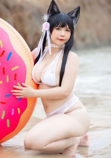 完美秘书